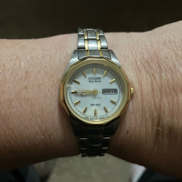 Citizen Eco-Drive Gold and Silver Watch